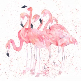 Бесшовные детские фотообои Flamma birds